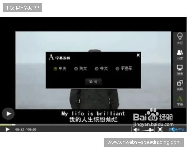 多语种实时字幕系统突破国际观赛障碍